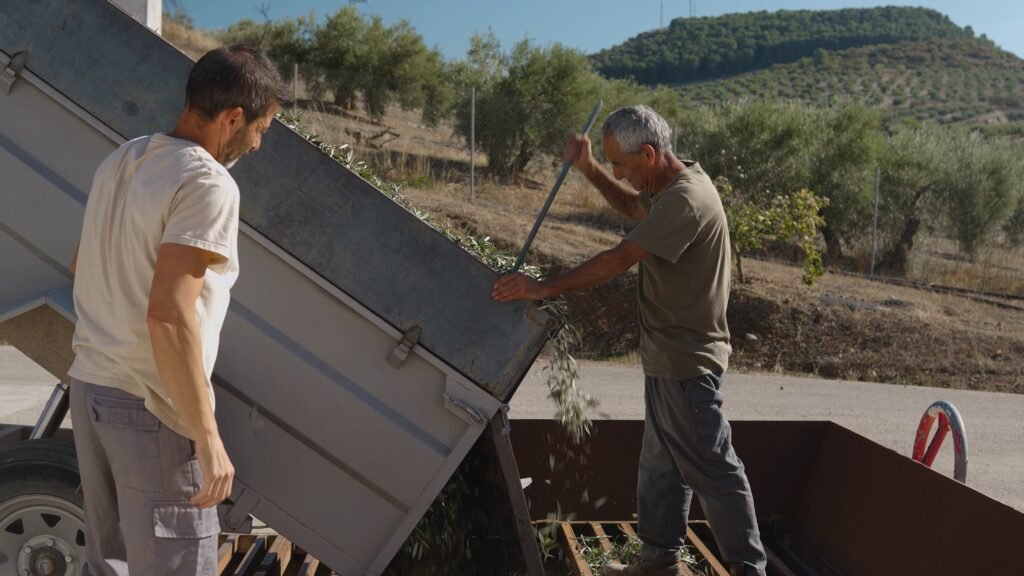 Ético — documental sobre el aceite de oliva de Priego de Córdoba
